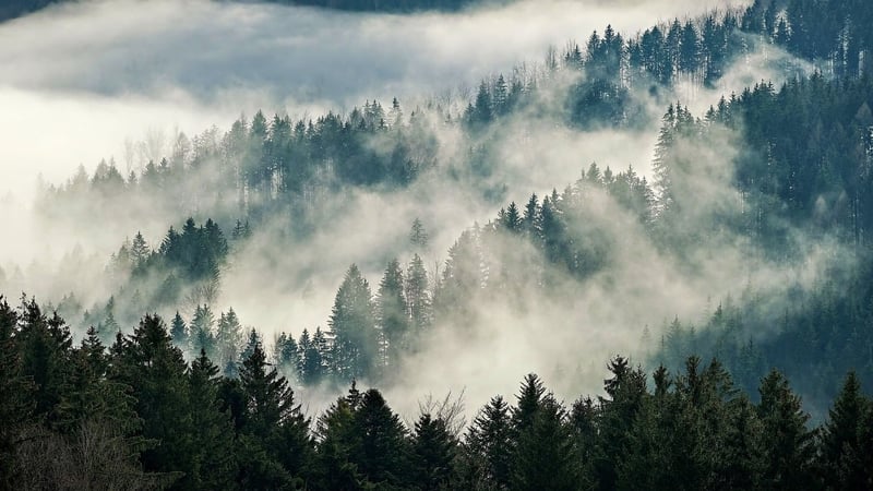 Sustainable Practices